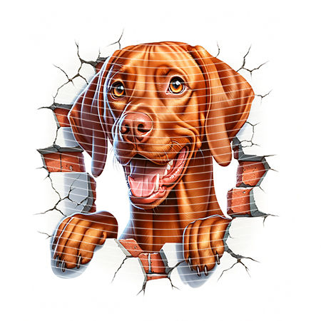 20oz integrate-EJ-8962